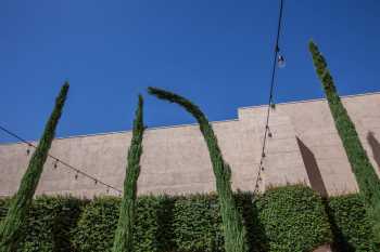 Alex Theatre, Glendale, Los Angeles: Greater Metropolitan Area: Trees in Forecourt