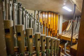 Organ Chambers