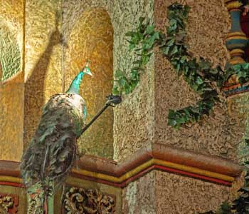 Majestic Theatre, San Antonio, Texas: Peacock