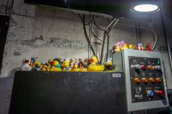 Orpheum Theatre, Phoenix, American Southwest: Backstage Duck Collection